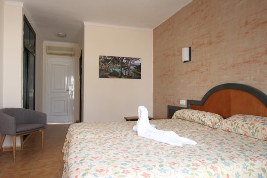Hotel Dor