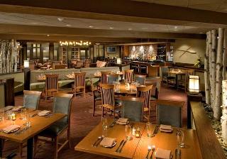 Hotel Doubletree By Hilton Chicago Arlington