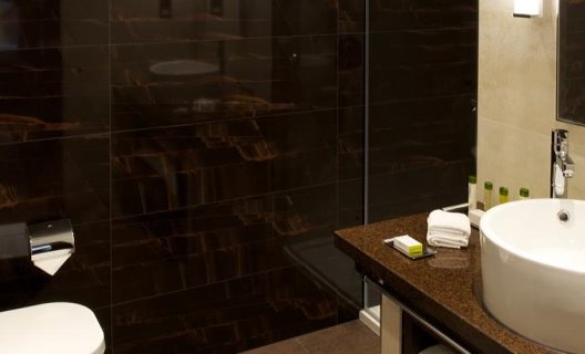 Hotel Doubletree By Hilton London Victoria