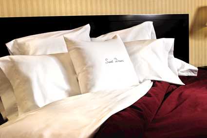 Hotel Doubletree By Hilton New Orleans Airport