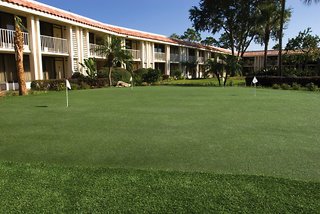 Hotel Doubletree By Hilton Orlando At Seaworld