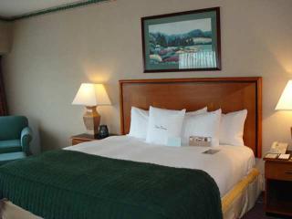 Hotel Doubletree Suites By Hilton & Conference