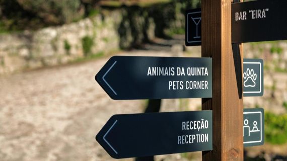 Hotel Douro Palace Resort & Spa