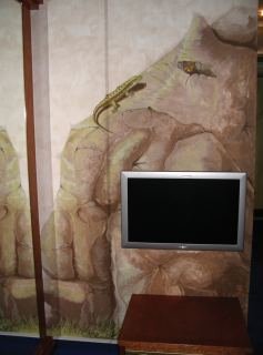 Hotel Drachen