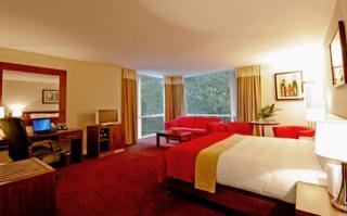 Hotel Dunboyne Castle & Spa