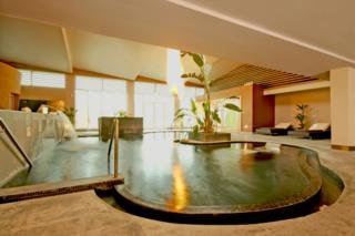 Hotel Dunboyne Castle & Spa