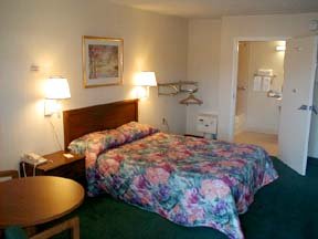 Hotel Econo Lodge King's Dominion-south