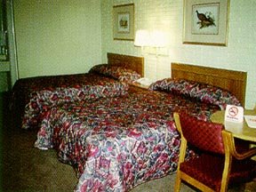 Hotel Econo Lodge-summerville