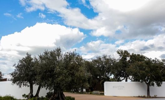 Hotel Ecorkhotel - Evora, Suites & Spa