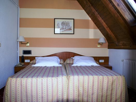 Hotel Edelweiss Arties