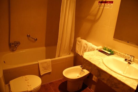 Hotel Edelweiss Arties