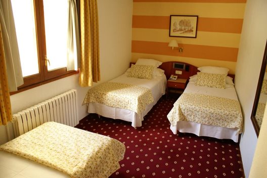 Hotel Edelweiss Arties
