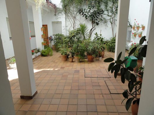Hotel El Coloso