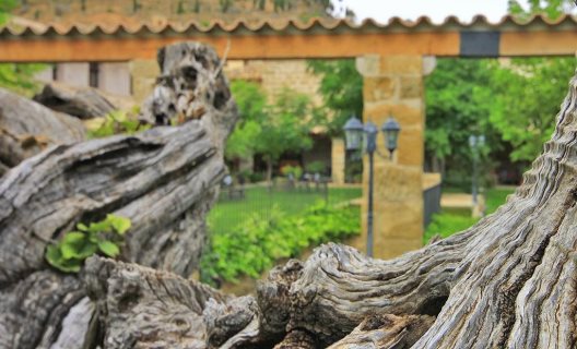 Hotel El Convent