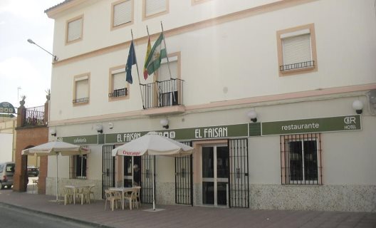 Hotel El Faisan