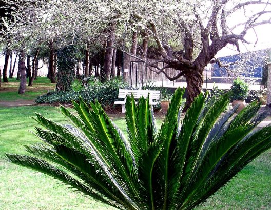 Hotel El Moli