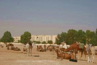 Hotel El Mouradi Douz