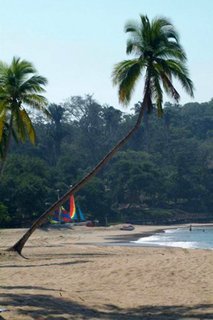Hotel El Tamarindo Beach & Golf Resort