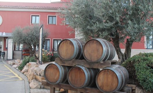 Hotel El Tollo