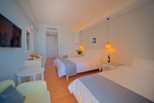 Hotel Elea Beach Dassia