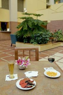 Hotel Embassy Suites Atlanta-at Centennial Olympic