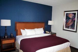 Hotel Embassy Suites Atlanta Buckhead