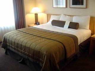 Hotel Embassy Suites Chicago-o´hare-rosemont