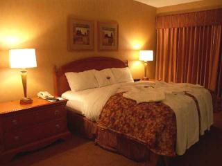 Hotel Embassy Suites Detroit Metro Airport
