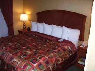 Hotel Embassy Suites Greensboro-airport
