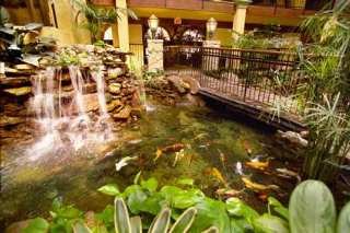 Hotel Embassy Suites Lubbock