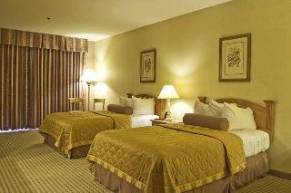 Hotel Embassy Suites Mcallen