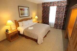 Hotel Embassy Suites Mcallen