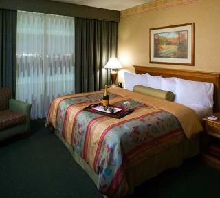Hotel Embassy Suites Nrth Charleston-airport-hotel
