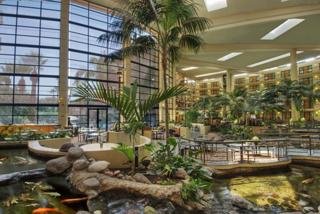 Hotel Embassy Suites Phoenix Biltmore