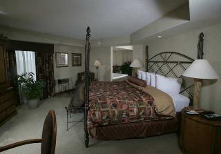 Hotel Embassy Suites Raleigh-durham-research Trian