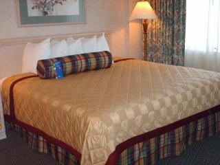 Hotel Embassy Suites St. Louis Airport