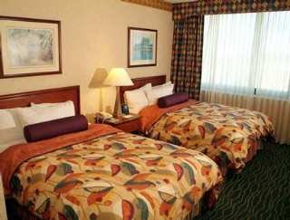 Hotel Embassy Suites Tampa-usf-near Busch Gardens