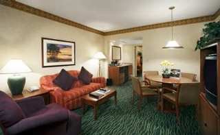 Hotel Embassy Suites Tampa-usf-near Busch Gardens