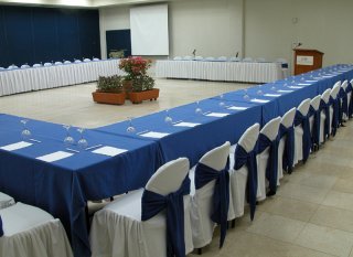Hotel Emporio Ixtapa