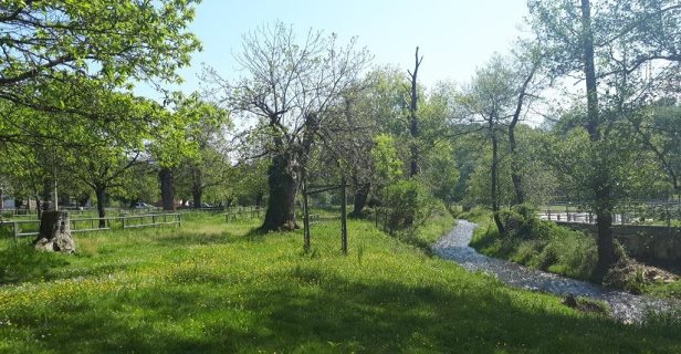Hotel Entremontes