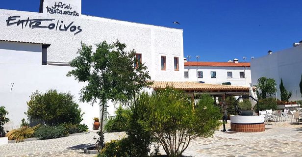 Hotel Entreolivos