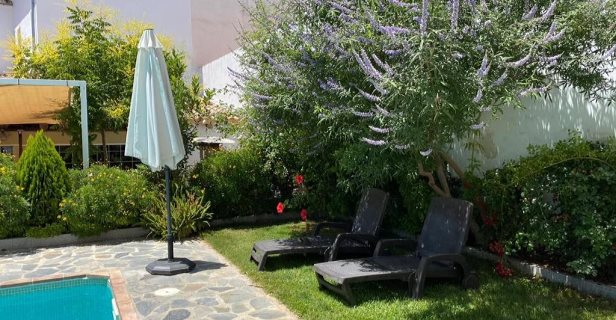 Hotel Entreolivos