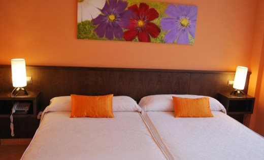Hotel Entreviñes