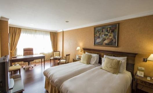 Hotel Eurostars Araguaney