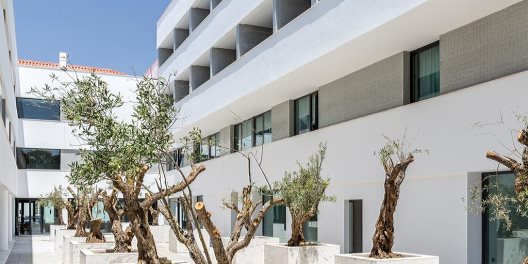 Hotel Evora Olive