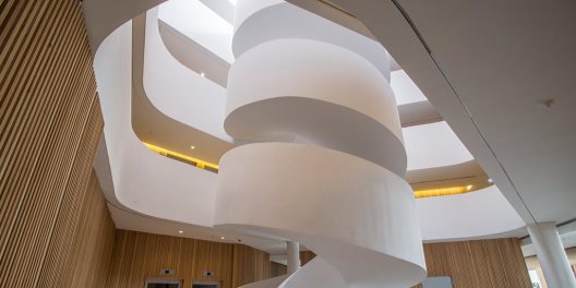 Hotel Evora Olive