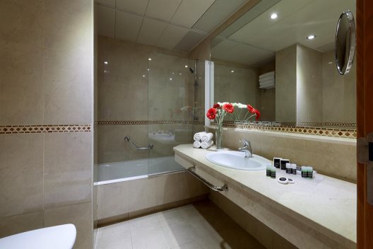 Hotel Exe Puerta Castilla-anexo