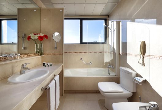 Hotel Exe Puerta Castilla-anexo