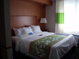 Hotel Fairfield Inn & Suites Tampa North