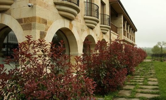 Hotel Felisa Spa